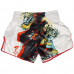 Fairtex для тайского бокса Satorus Muay Thai Shorts