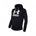 Толстовка мужская Under Armour UA Rival Terry Logo Hoodie
