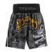 Шорты Reyvel MUAYTHAI TEAM 22-08 M черные