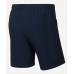 Шорты спортивные Jogel CAMP 2 Woven Shorts темно-синие