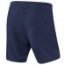 Шорты спортивные Jogel Camp Woven Shorts темно-синие