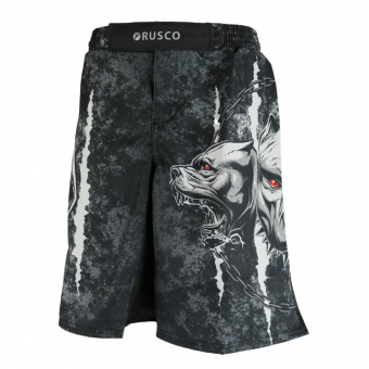 Детские шорты для MMA Rusco Sport Cerberus размер L (10 лет) Детские шорты для MMA Rusco Sport Cerberus размер L (10 лет)